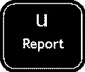 U Report